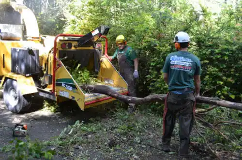 tree services Temple